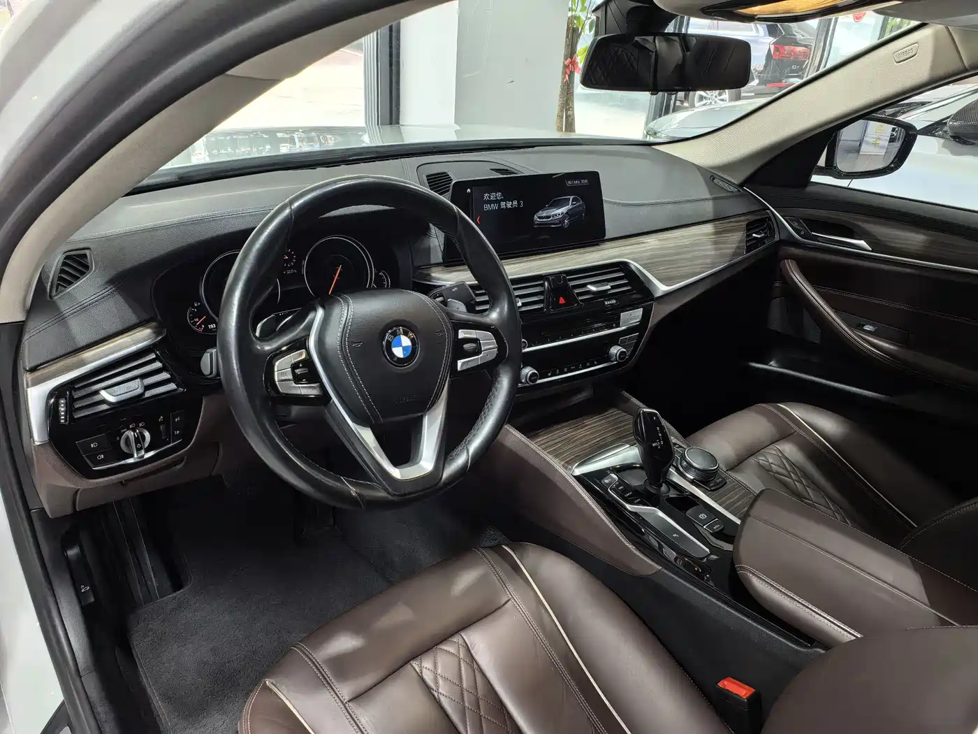 BMW 5 Series 2018 Facelift 530Li Leading Luxury Package фото 6