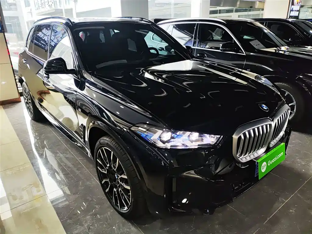BMW X5 2023 xDrive 40Li M Sport Black Night Package фото 22