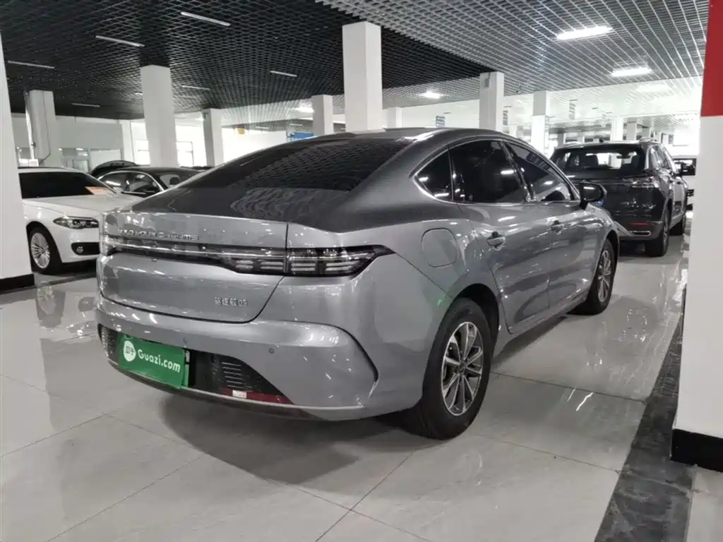 BYD Destroyer 05 2024 Glory Edition DM-i 55KM Luxury фото 7