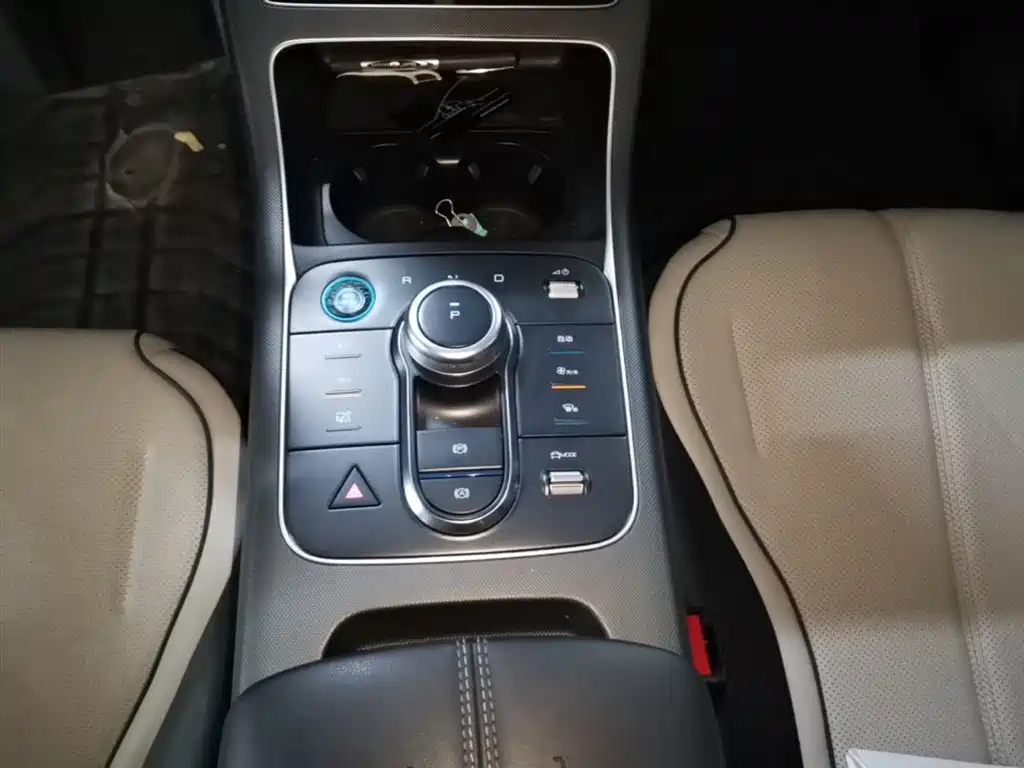 BYD Destroyer 05 2024 Glory Edition DM-i 55KM Luxury фото 14
