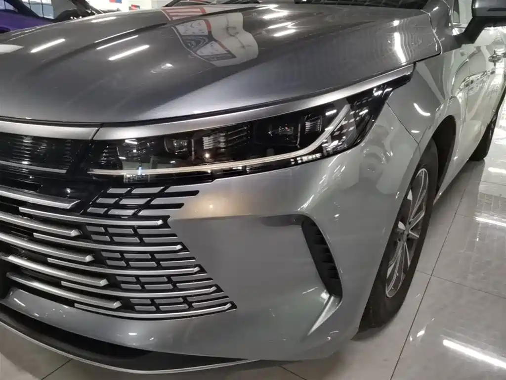 BYD Destroyer 05 2024 Glory Edition DM-i 55KM Luxury фото 24