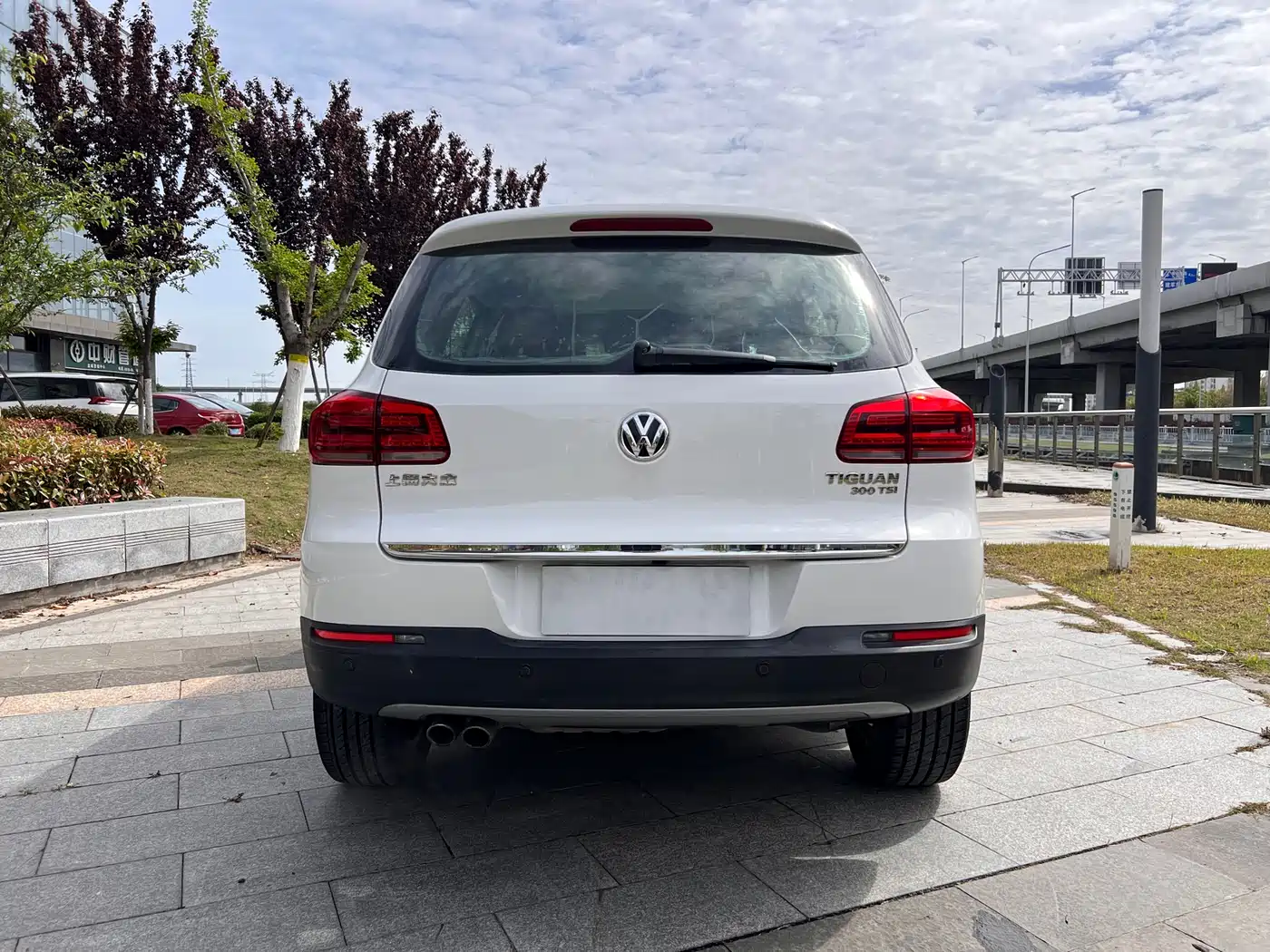 Volkswagen Tiguan 2016 Model 300TSI Automatic 2WD Luxury Edition фото 9