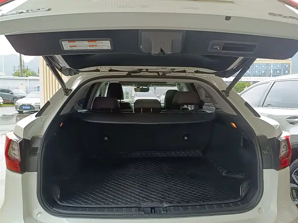 Lexus RX 2016 300 4WD Elegance Edition (China V) фото 19