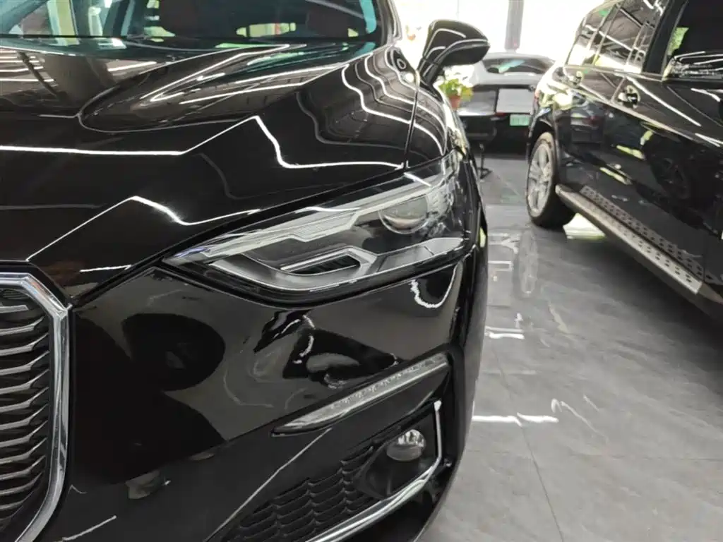 Haval F5 2019 National Trend Edition 1.5T iStyle China VI фото 24