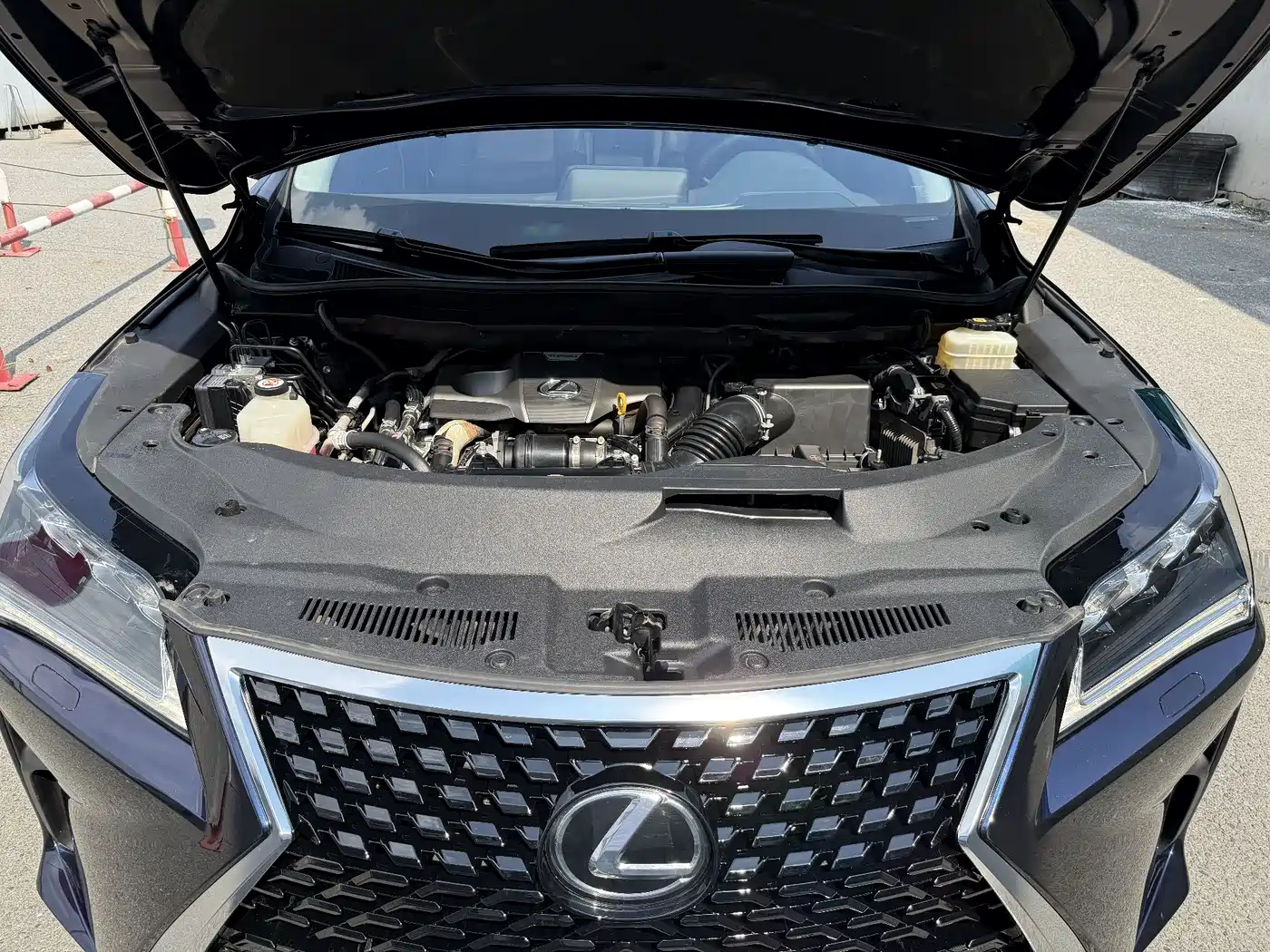 Фото 17 - Lexus RX