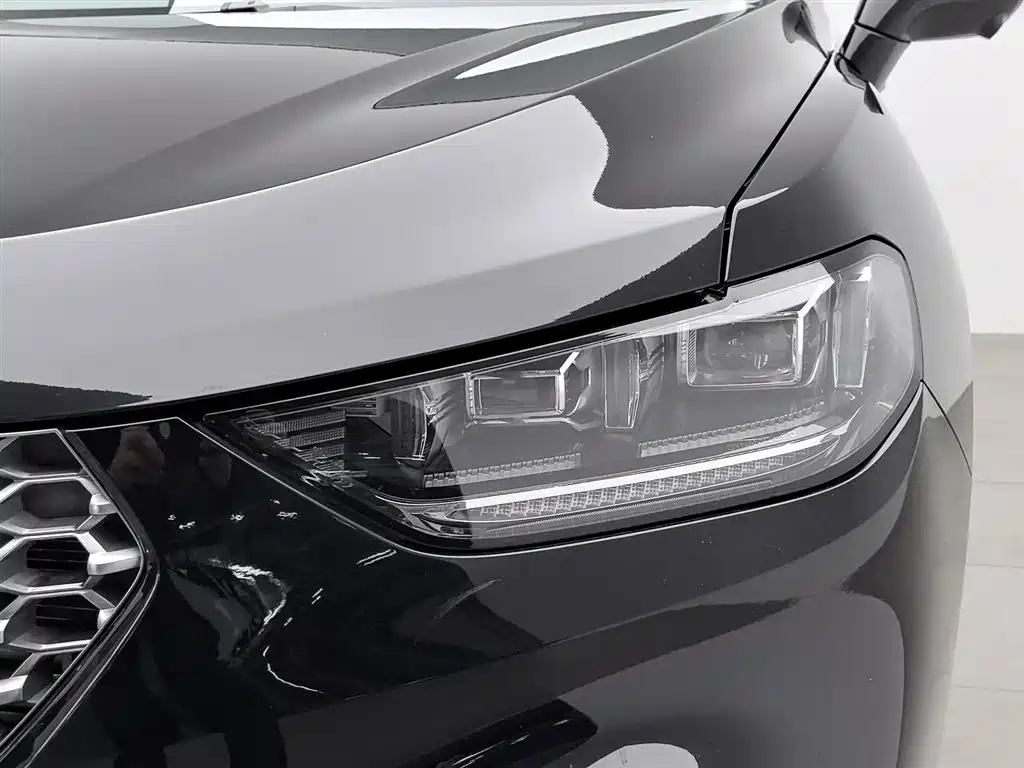 WEI PAI WEI BRAND VV5