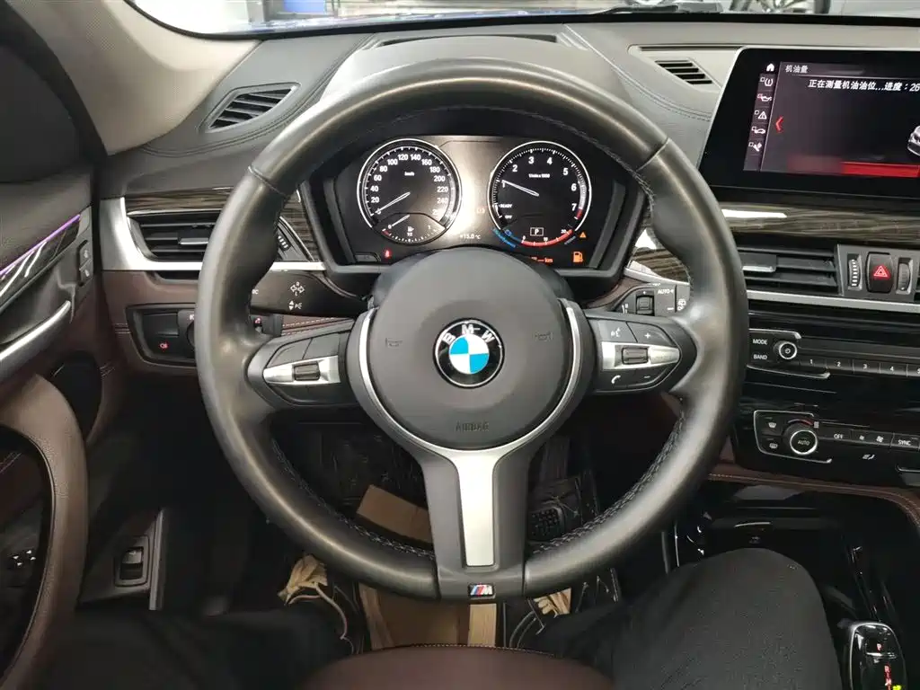 BMW X1 2020 xDrive25Li Premium Edition фото 11