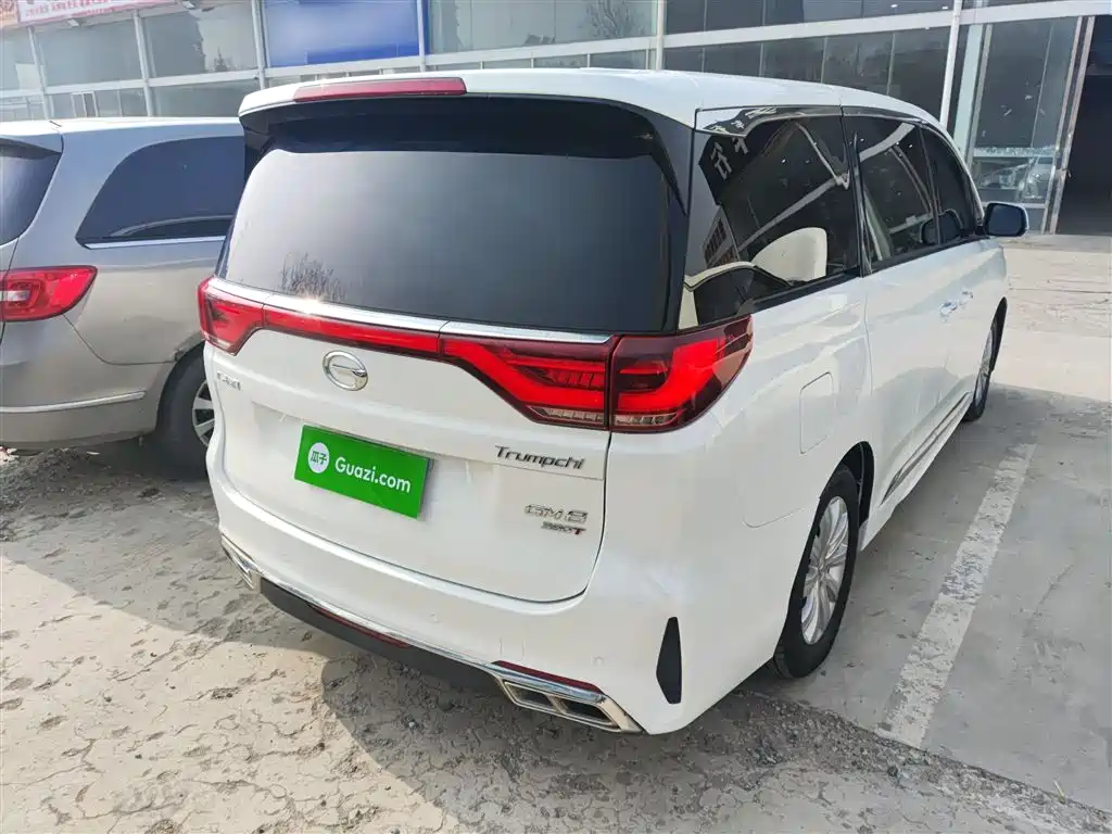 GAC Trumpchi Trumpchi M8 2020 Pilot 390T Premium Edition фото 7