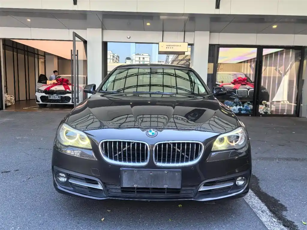 BMW 5 Series 2014 520Li Elegance фото 2