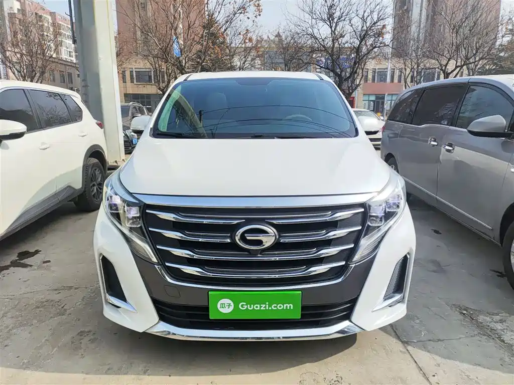 GAC Trumpchi Trumpchi M8 2020 Pilot 390T Premium Edition фото 3