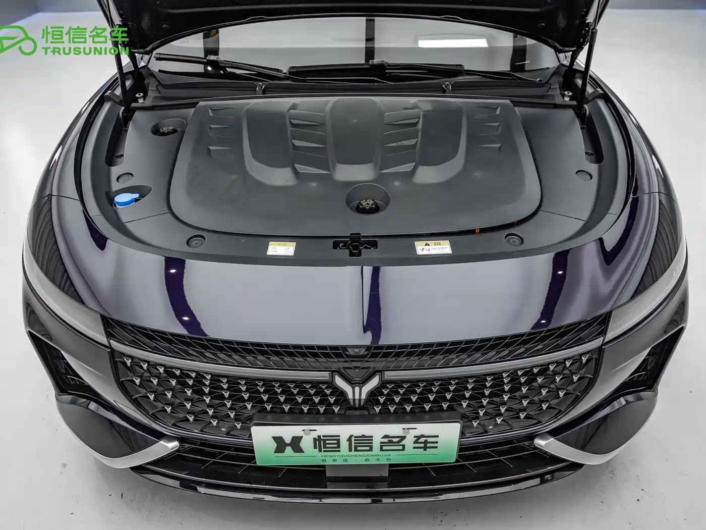 Voyah Auto VOYAH Zhuiguang 2024 PHEV AWD Ultra Long Range Flagship фото 20