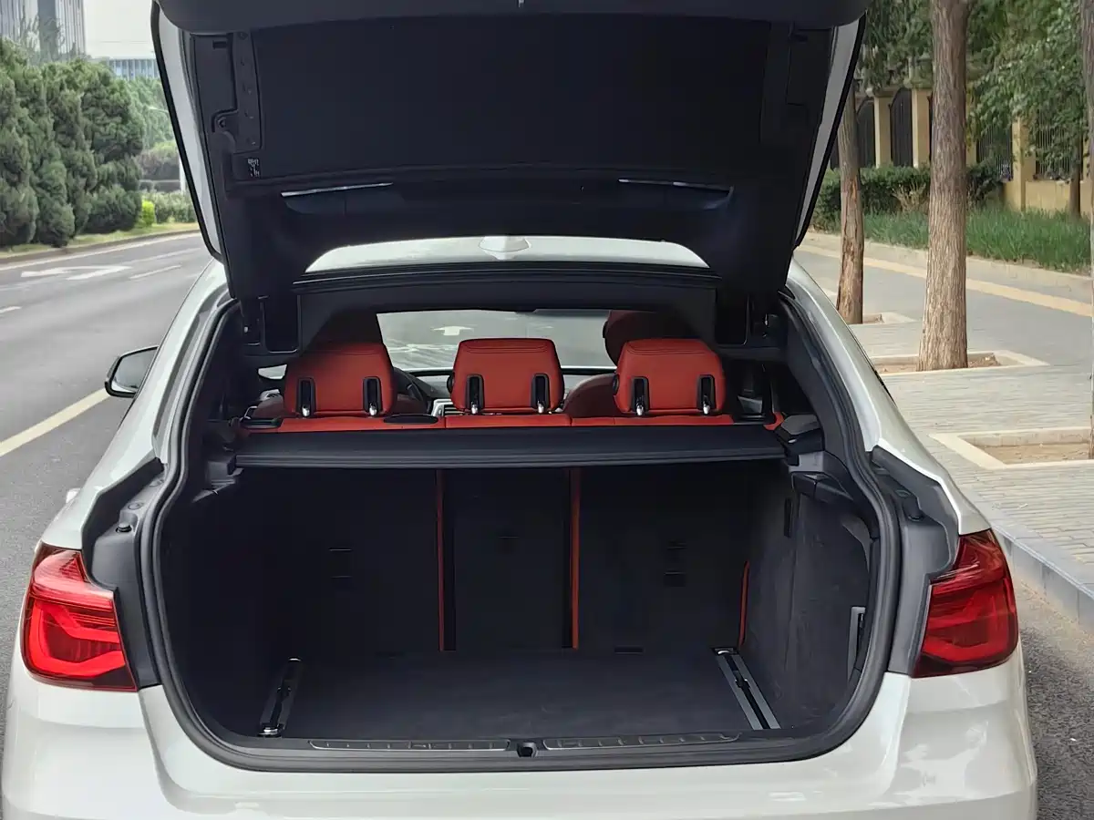 BMW 3 Series GT 2020 320i M Sport Black Night Edition фото 23