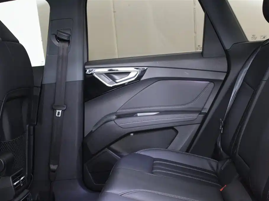 Audi Q4 e-tron 2024 40 e-tron Pioneer Edition фото 8