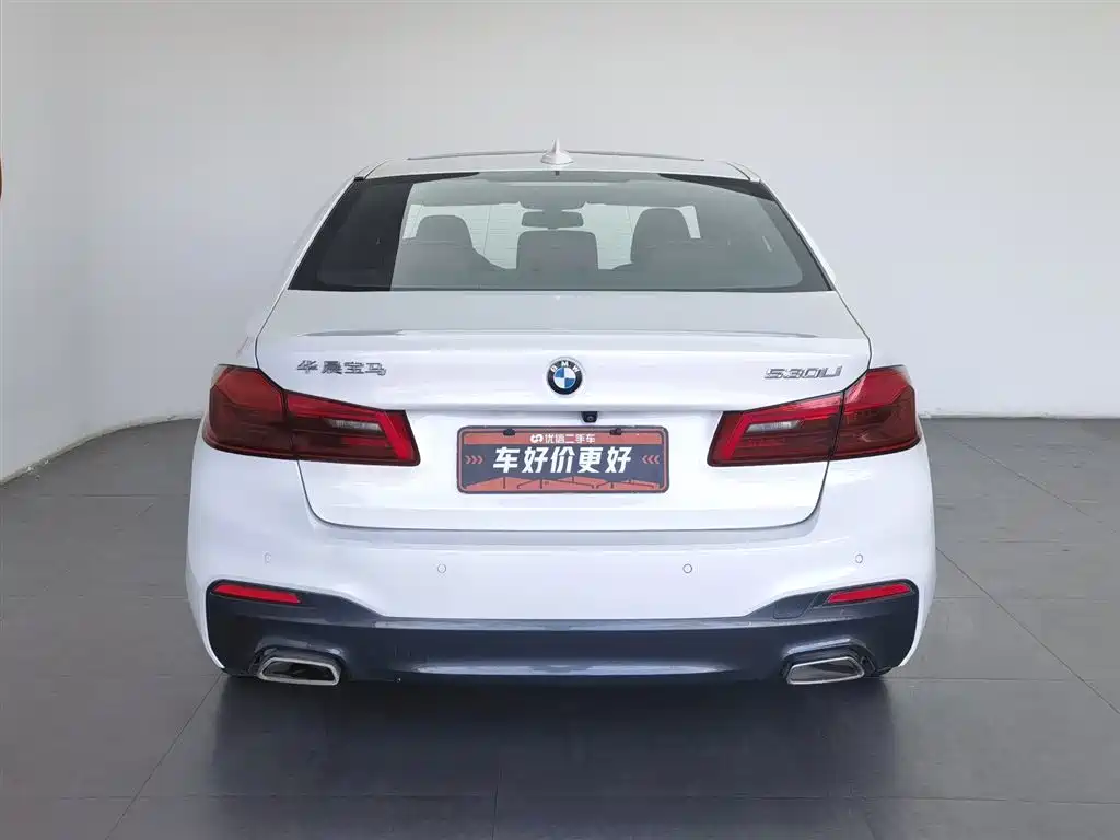 BMW 5 Series 2020 530Li Leading M Sport Package фото 4