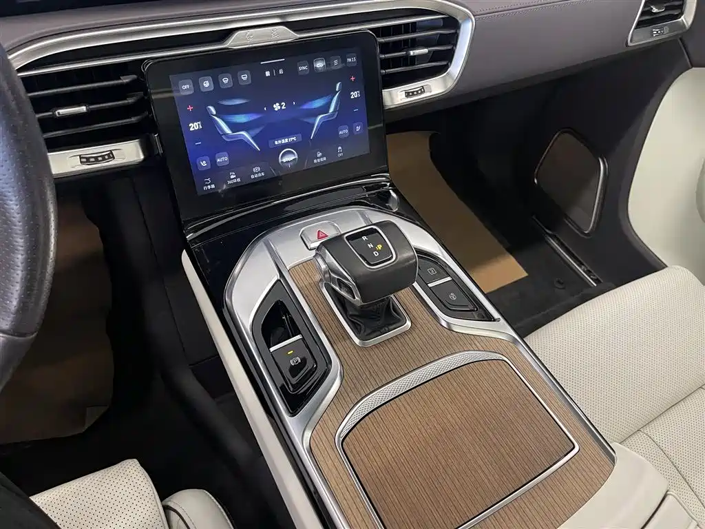 Hongqi E-HS9 2022 660km Qi Ling Edition (4-seater) фото 19