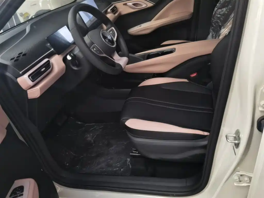 BYD Seagull 2025 Smart Drive Edition 305km Vitality Version фото 15