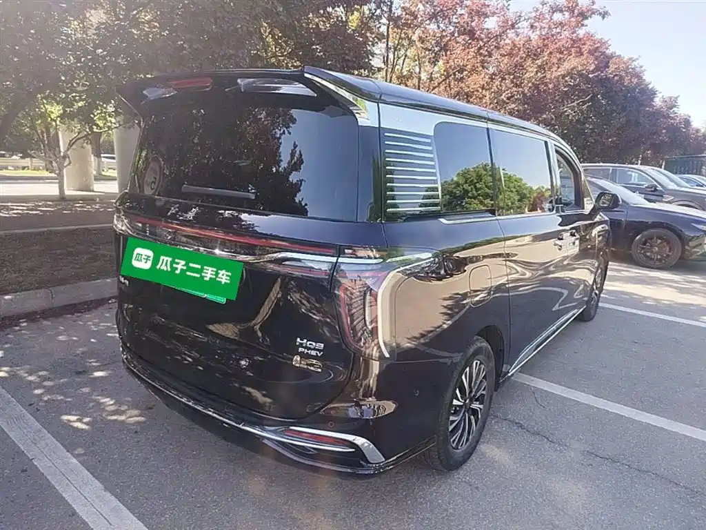 Hongqi HQ9 PHEV 2024 Model 2.0T AWD Luxury Edition фото 5