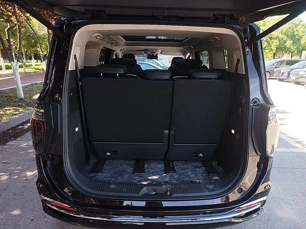 Hongqi HQ9 PHEV 2024 Model 2.0T AWD Luxury Edition фото 15