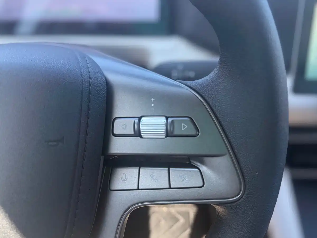 BYD Yuan UP 2026 2025 Model 301KM Navigator