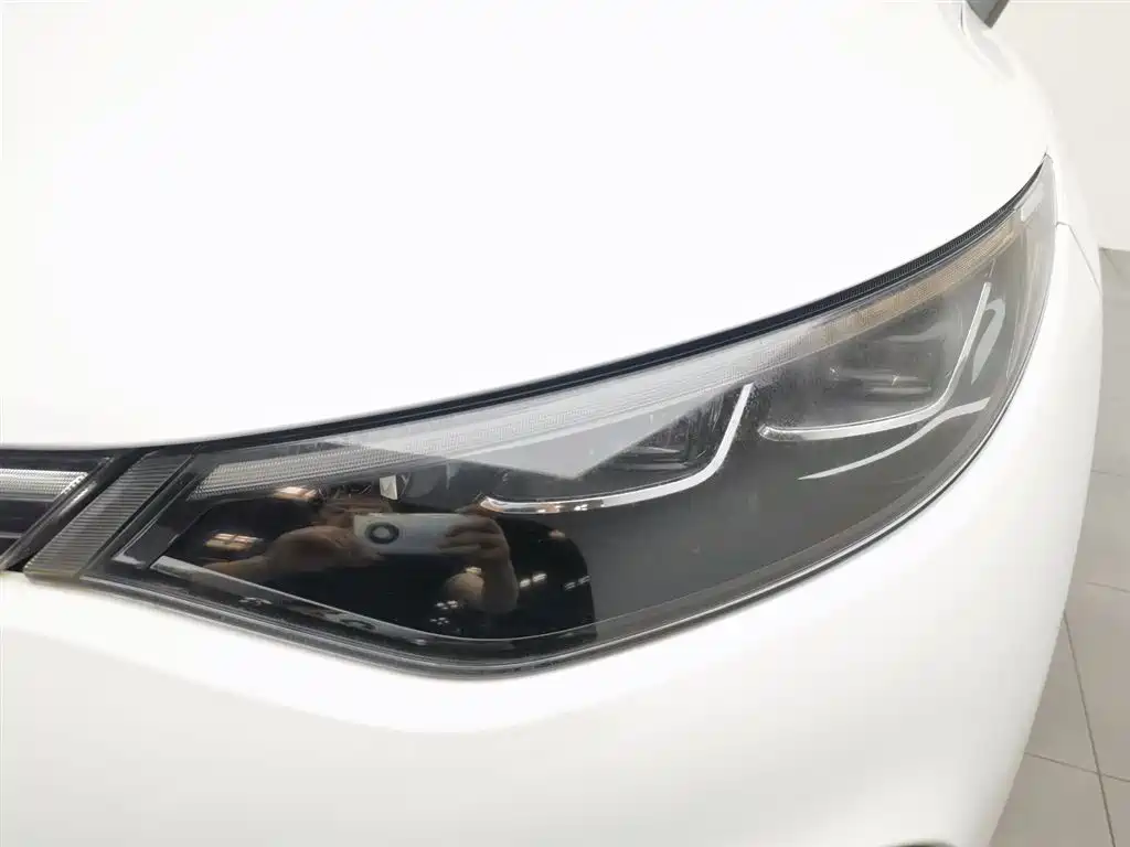 Denza X 2020 PHEV Classic Edition фото 7