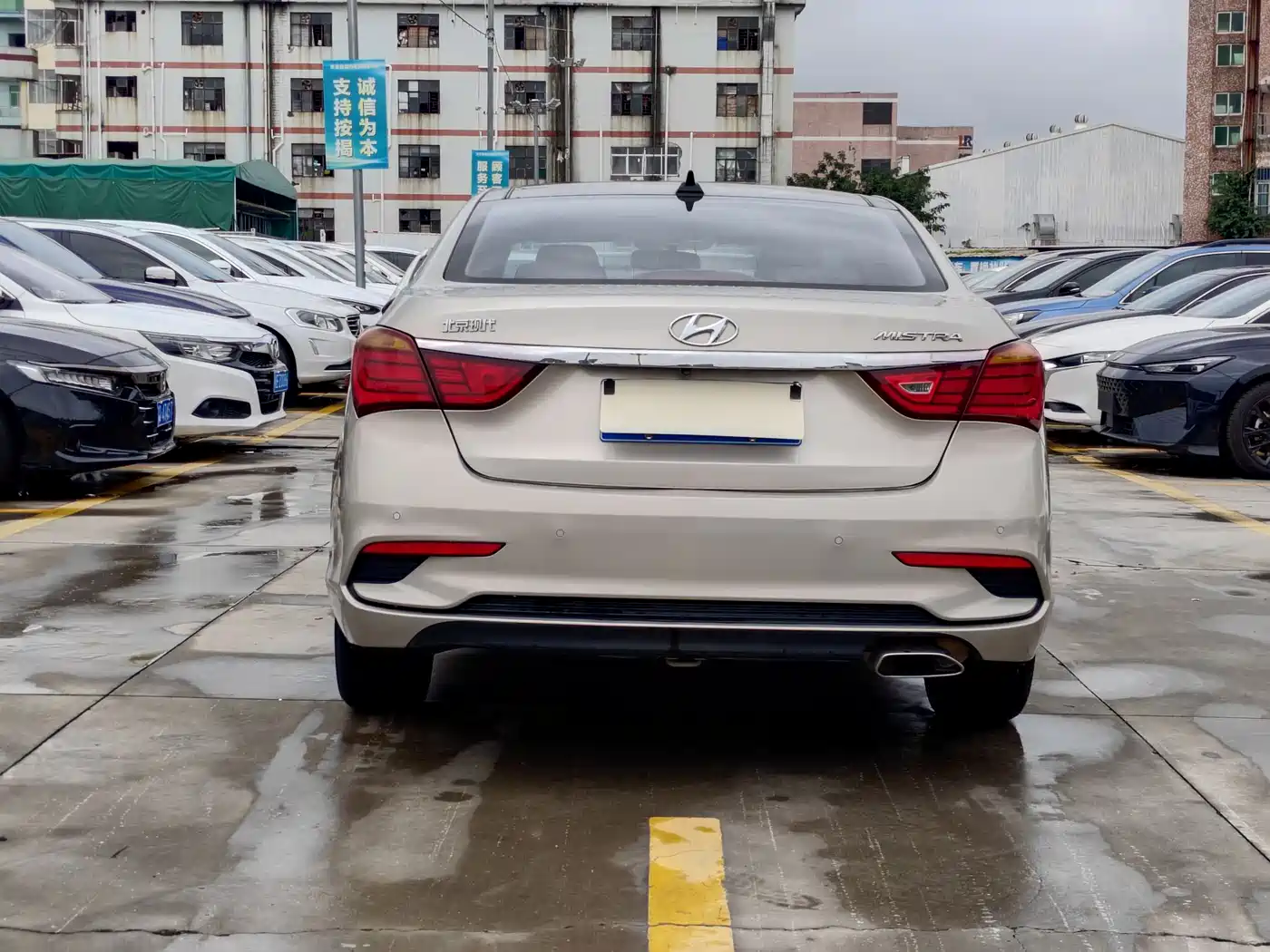 HYUNDAI NAME PICTURE
