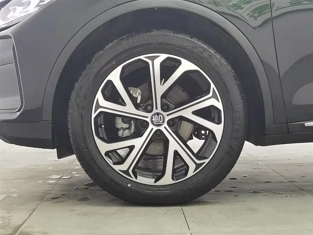 BYD Tang New Energy 2025 DM-i 115KM Prestige Type фото 17