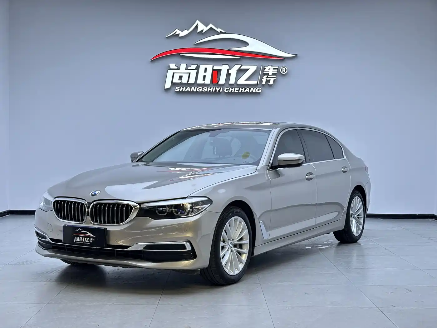 BMW 5 Series 2019 530Li Leading Luxury Package