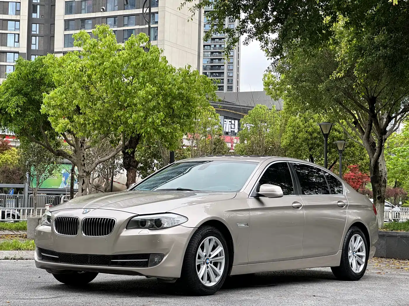BMW 5 Series 2012 523Li Luxury фото 3