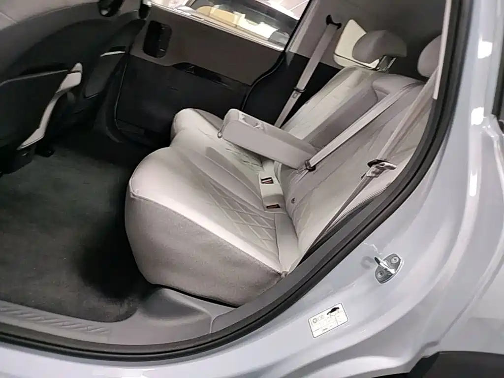 ARCFOX Koala S 2025 2024 PRO
