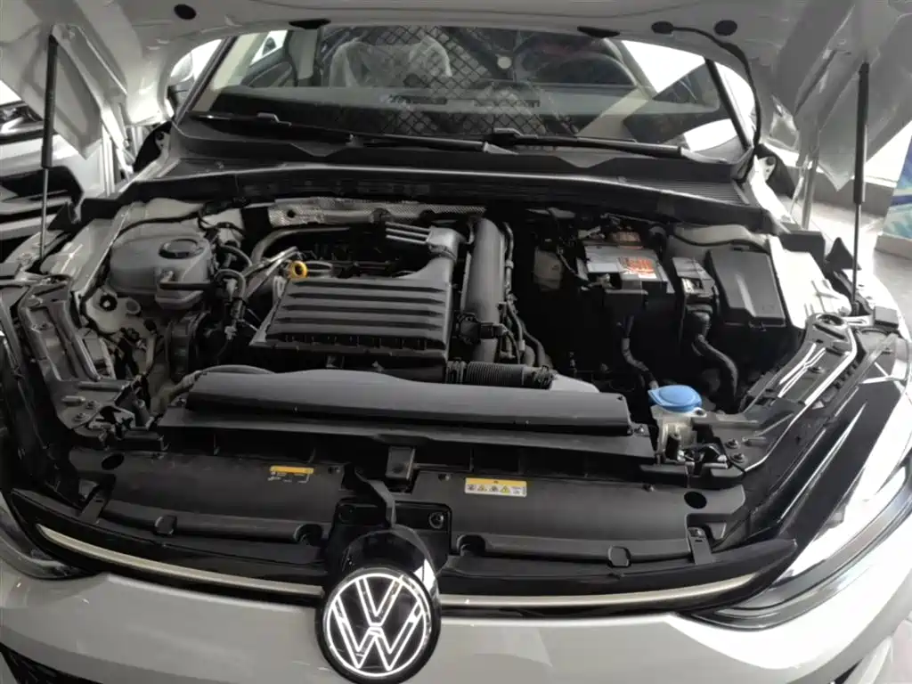 VOLKSWAGEN LINGDU