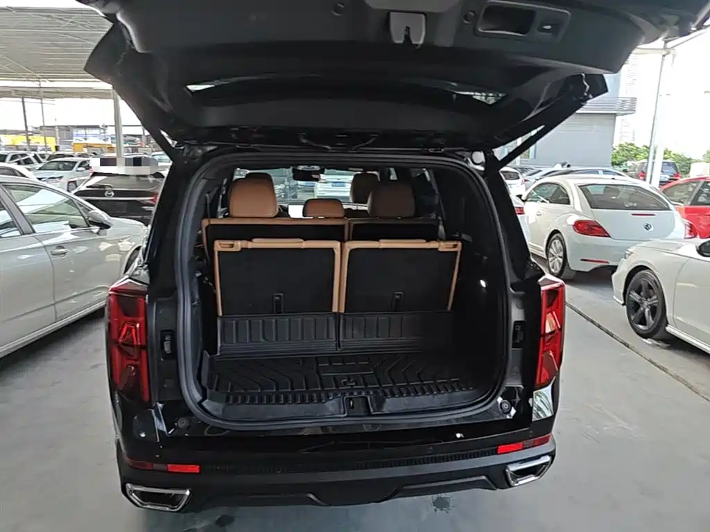 GAC Trumpchi Trumpchi GS8 2024 Navigator Series 2.0TGDI 2WD Luxury Smart Connect Edition фото 19