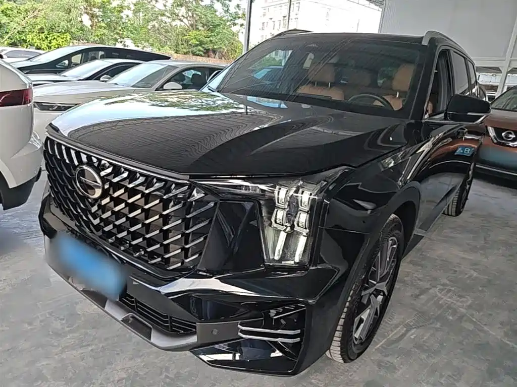 GAC Trumpchi Trumpchi GS8 2024 Navigator Series 2.0TGDI 2WD Luxury Smart Connect Edition фото 2