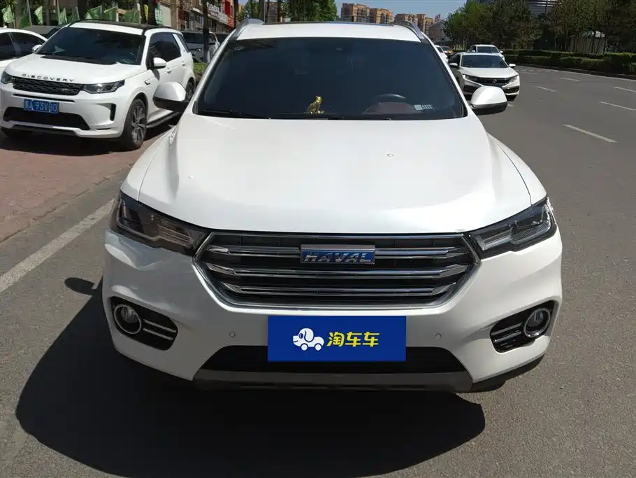 Haval H6 2017 Blue Label 2.0T Auto 2WD Leader фото 2