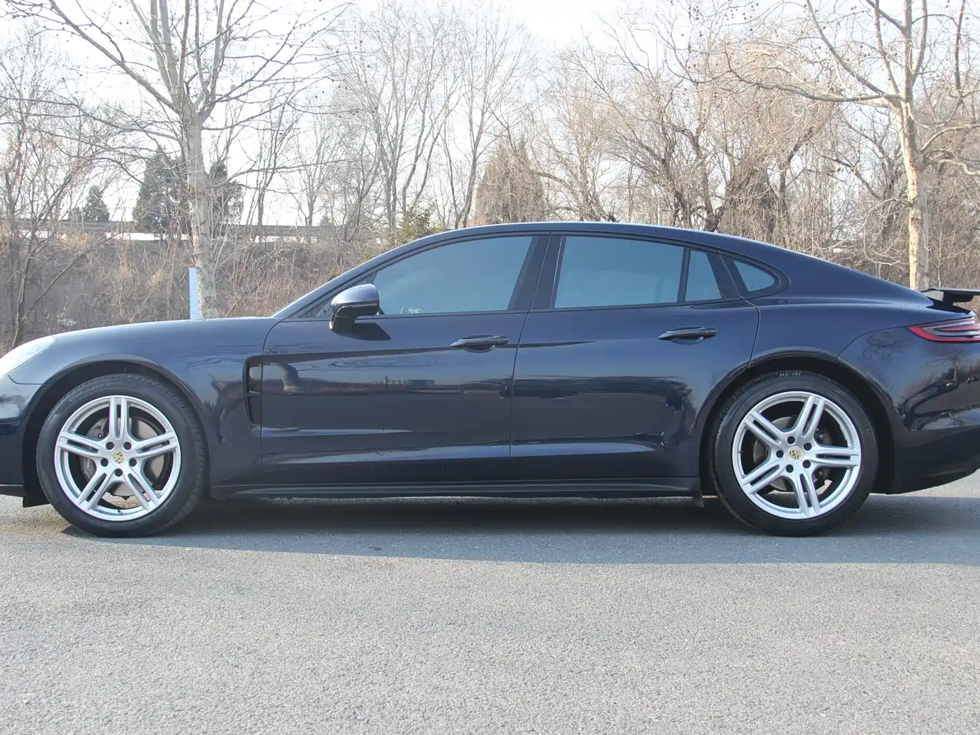 Porsche Panamera 2017 Panamera 3.0T фото 4