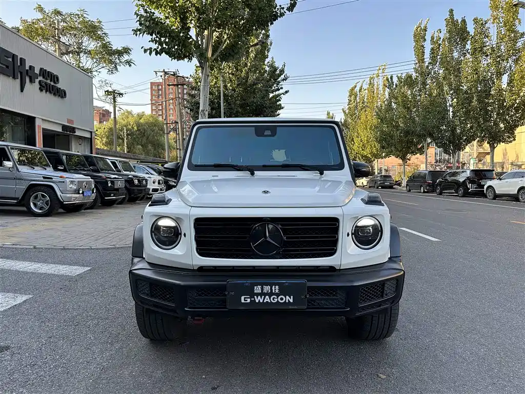 Mercedes-Benz G-Class 2024 G 350 фото 6