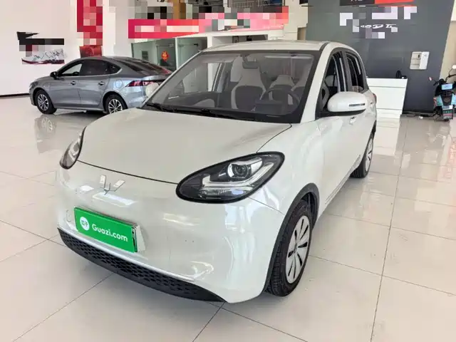  Wuling Motors Wuling Bingo 2023 Model 203km Lite Enjoyment Edition