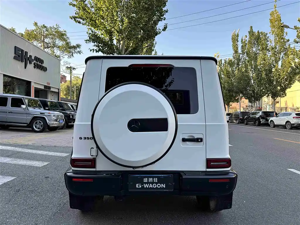 Mercedes-Benz G-Class 2024 G 350 фото 7