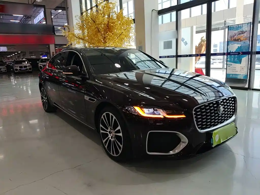 Фото 4 - Jaguar XFL
