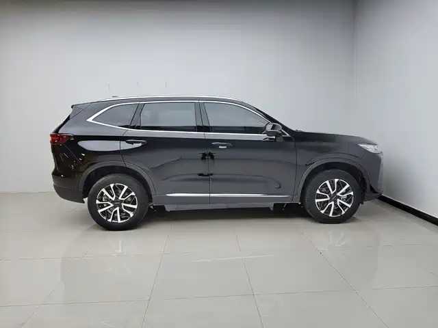 Haval H6 2022 3rd Gen 1.5T Auto 2WD Max фото 5