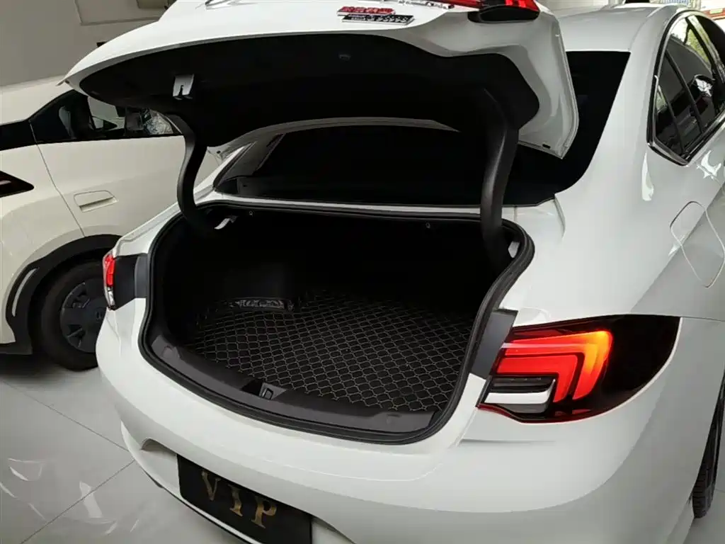Buick Regal 2020 GS 28T Elite фото 19
