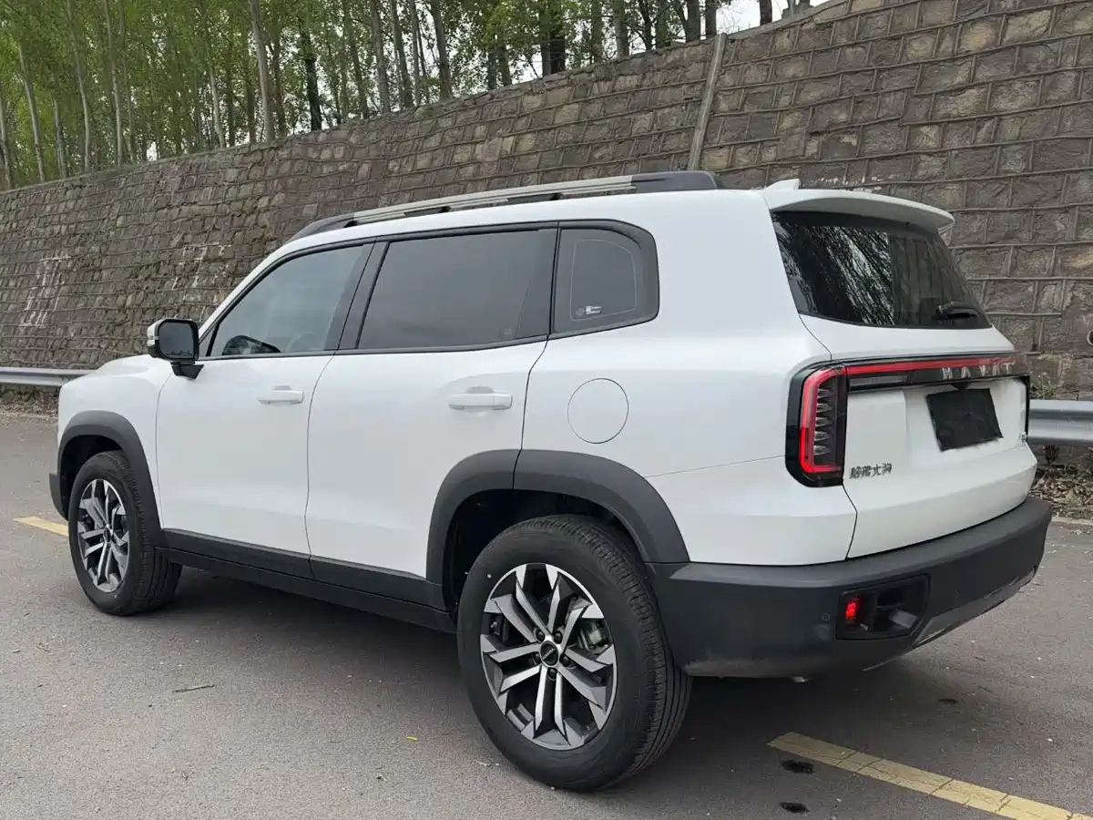Haval Big Dog 2024 Model 1.5T DCT Labrador Edition фото 7