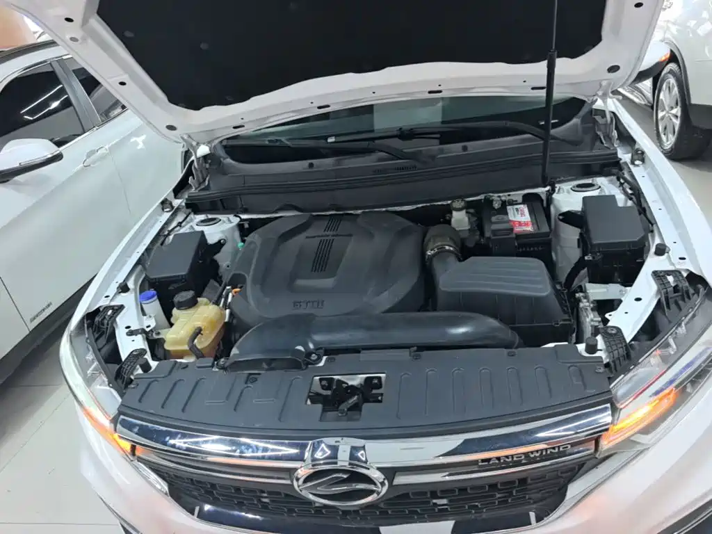 Landwind XIAOYAO 2019 2018 Facelift 1.5GTDI CVT Panoramic Gold Edition