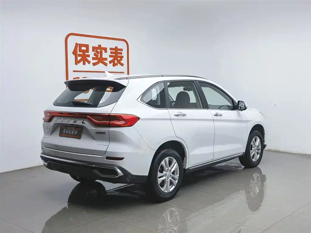 HAVAL M6