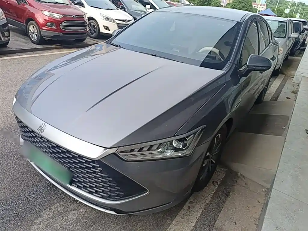 BYD Qin PLUS 2023 Champion Edition DM-i 55KM Leading фото 2