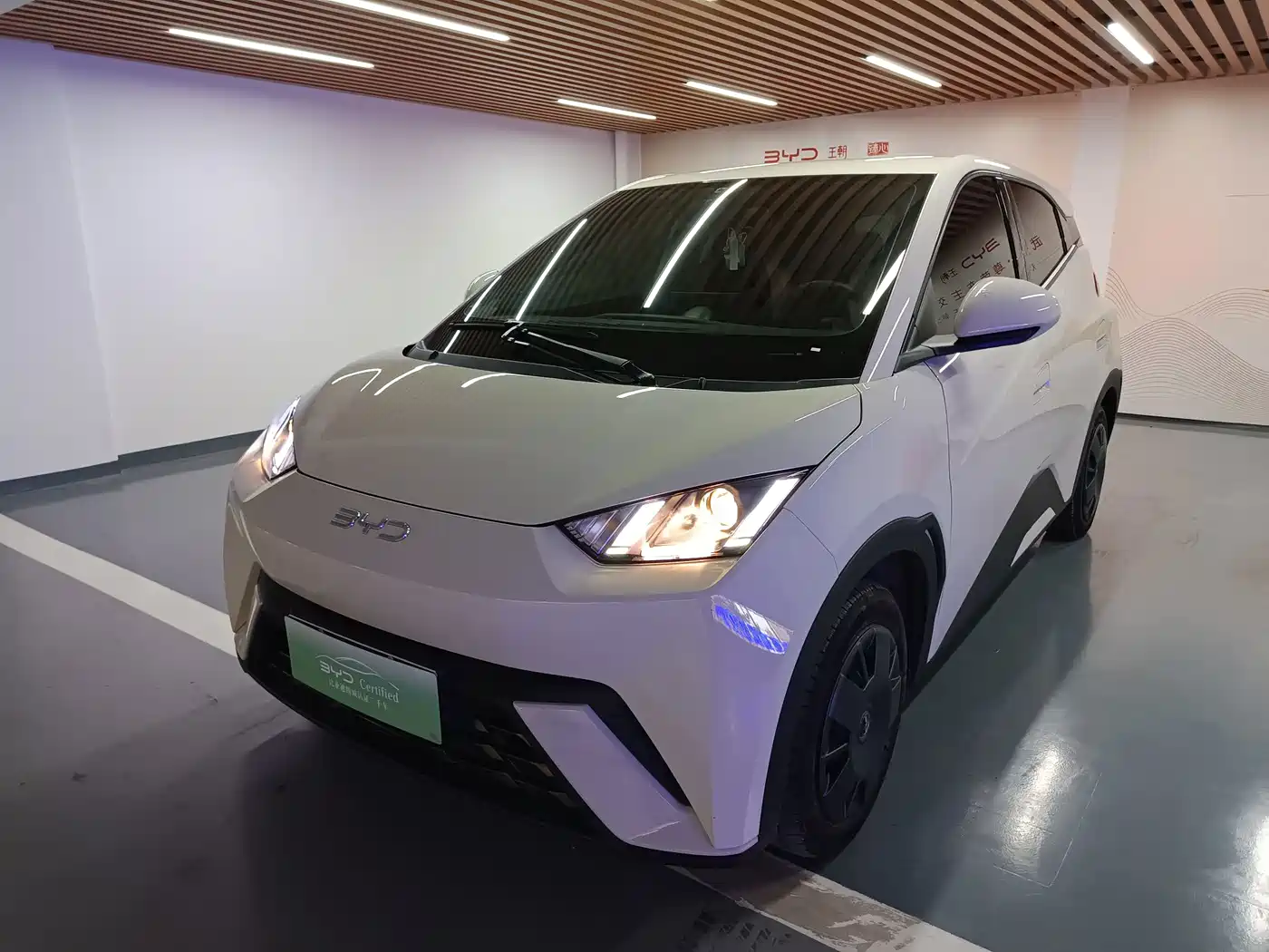 BYD Seagull 2025