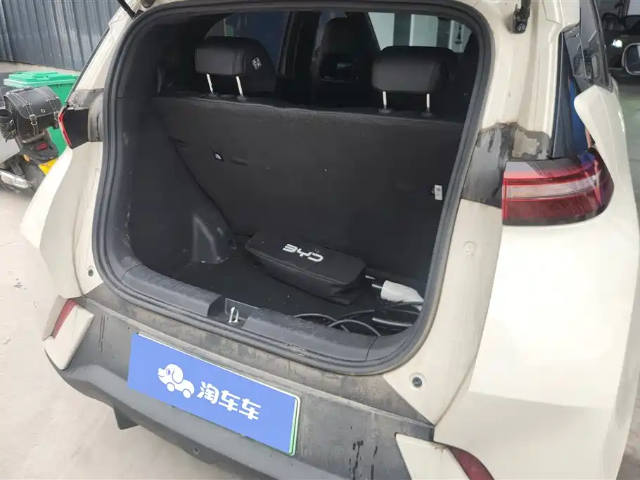 BYD Seagull 2024 Glory Edition 305km Vitality Edition фото 4