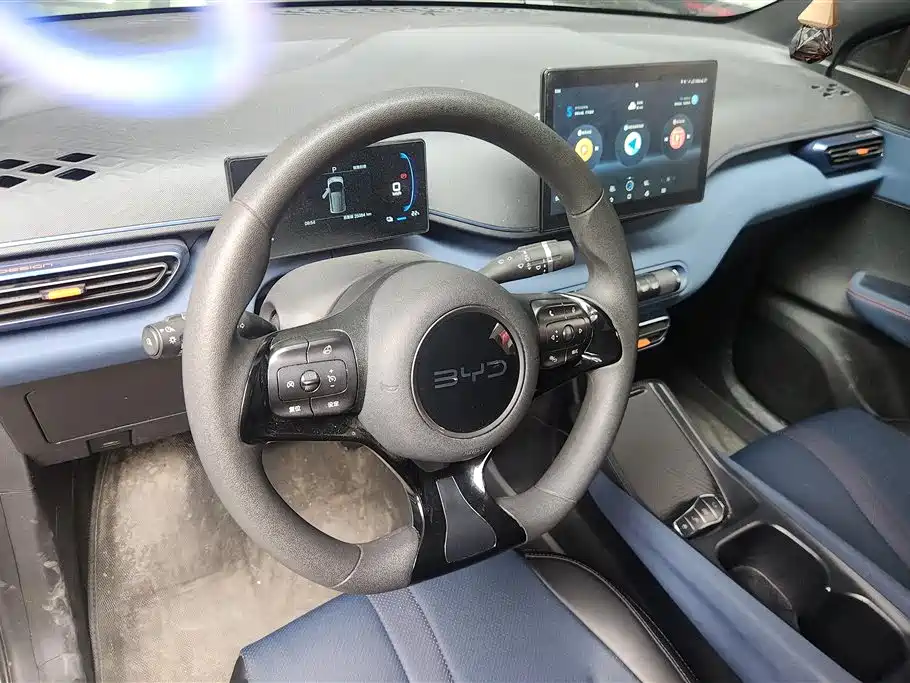BYD Seagull 2024 Glory Edition 305km Vitality Edition фото 12