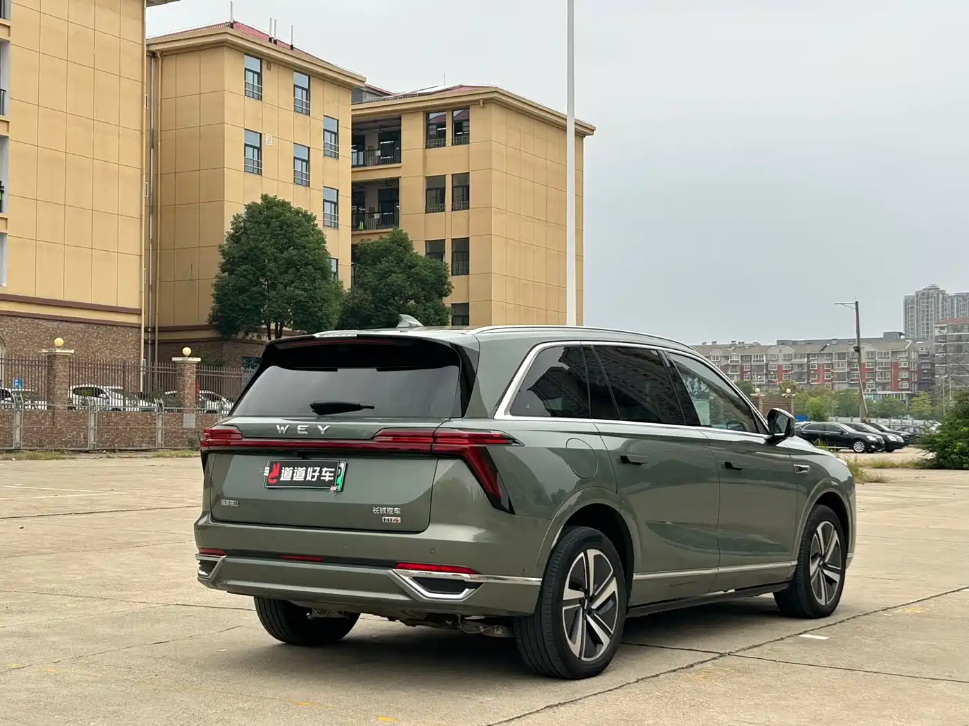 WEI PAI WEI BRAND BLUE MOUNTAIN