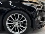 Фото 16 - Cadillac CT6