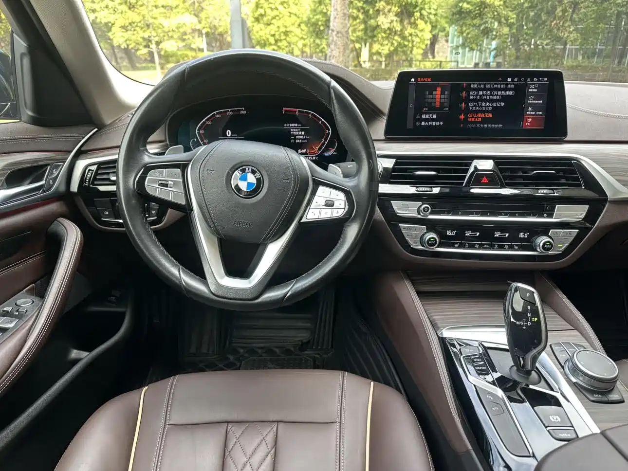 BMW 5 Series 2020 530Li Leading Luxury Package фото 4